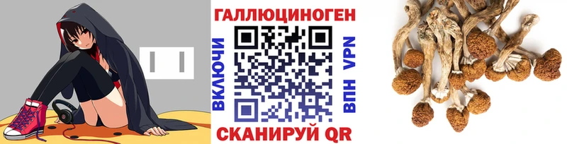 Псилоцибиновые грибы GOLDEN TEACHER Купить где Строитель